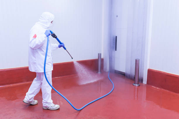Best Patio and Deck Pressure Washing  in Arcola, VA